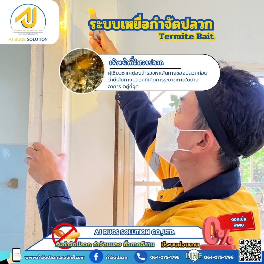 ผลงานกำจัดปลวกระบบเหยื่อ เอเจ บักส์ โซลูชั่น 1