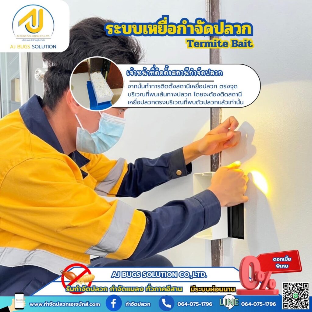 ผลงานกำจัดปลวกระบบเหยื่อ เอเจ บักส์ โซลูชั่น 2