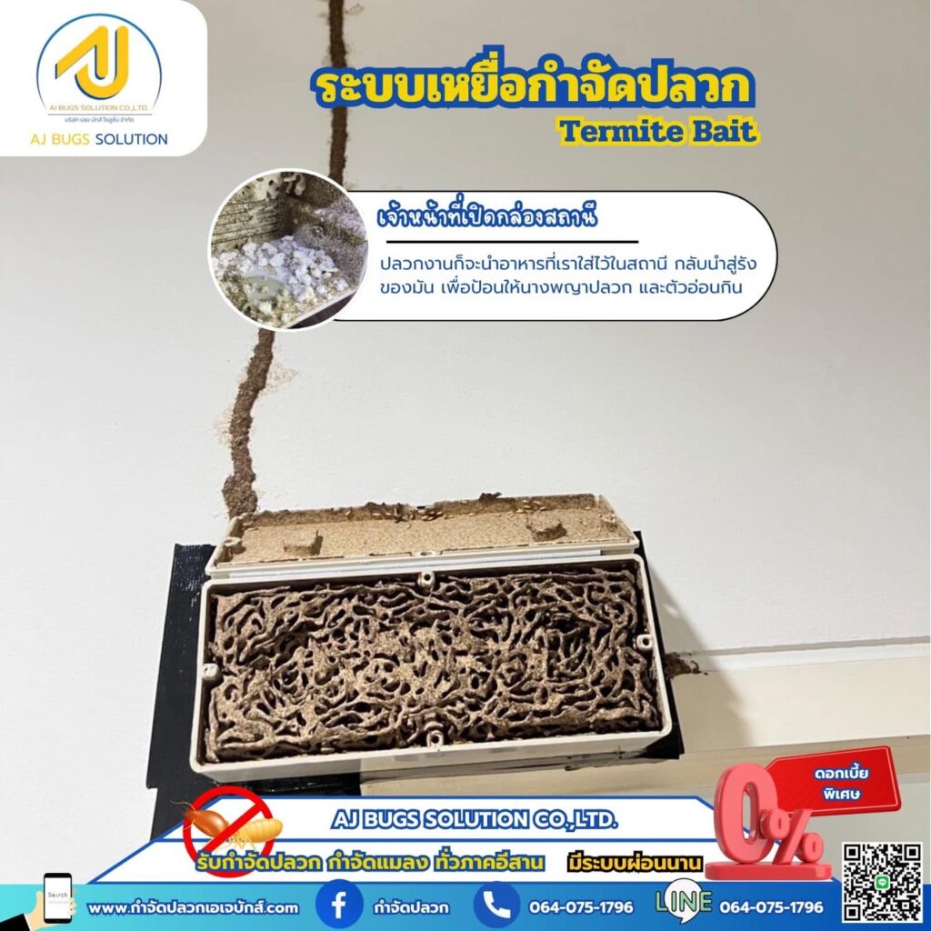 ผลงานกำจัดปลวกระบบเหยื่อ เอเจ บักส์ โซลูชั่น 3