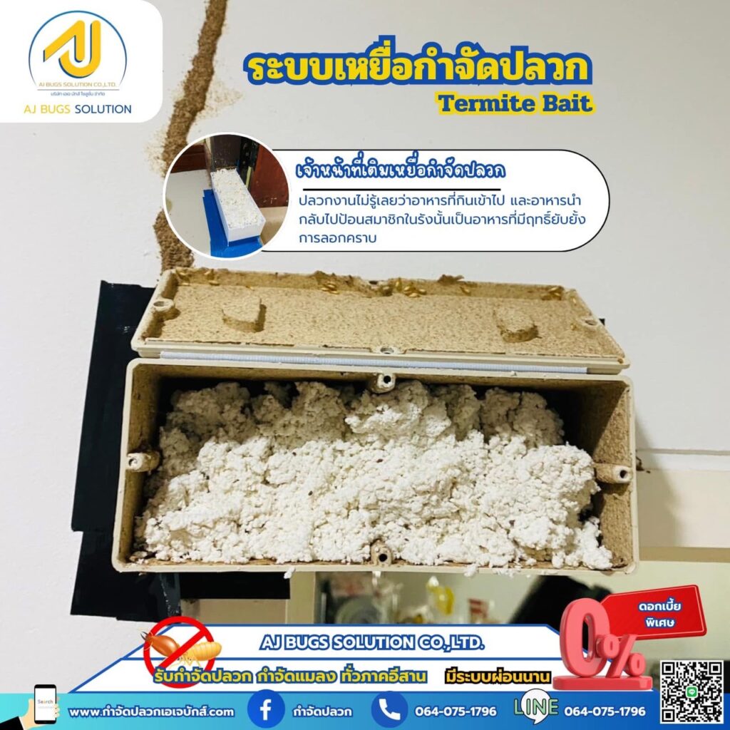 ผลงานกำจัดปลวกระบบเหยื่อ เอเจ บักส์ โซลูชั่น 4