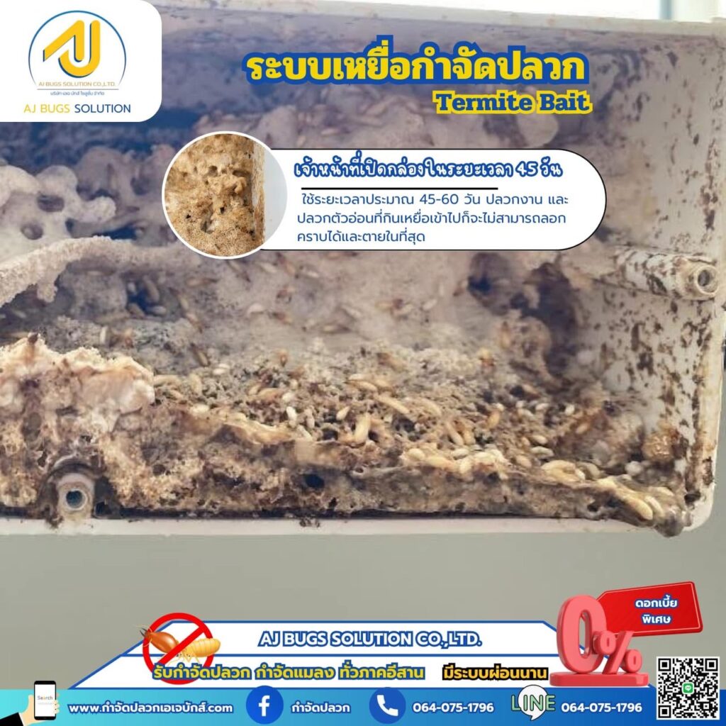 ผลงานกำจัดปลวกระบบเหยื่อ เอเจ บักส์ โซลูชั่น 5